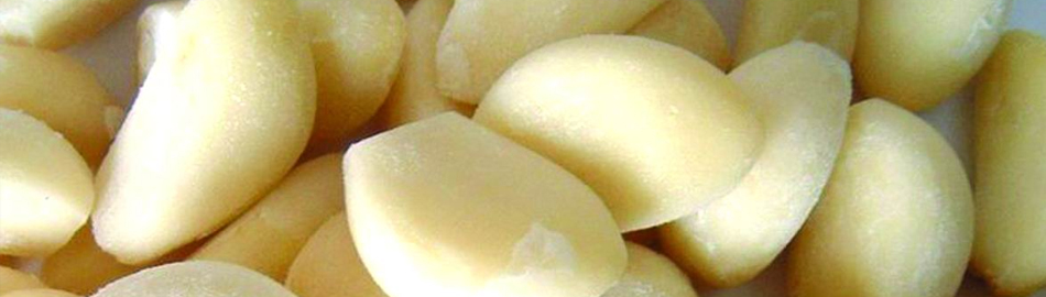 Garlic Peeler